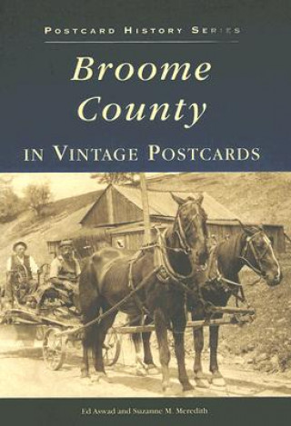 Kniha Broome County in Vintage Postcards Ed Aswad