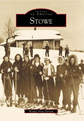Kniha Stowe Wendy Snow Parrish