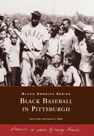 Libro Black Baseball in Pittsburgh Larry Lester