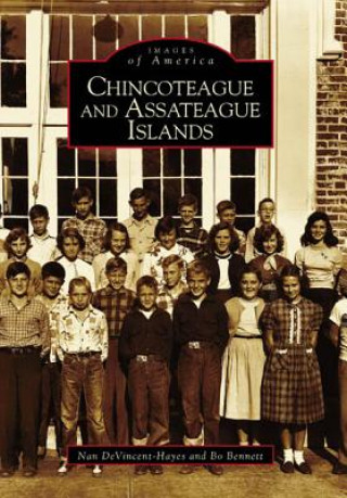 Livre Chincoteague and Assateague Islands Nan DeVincent-Hayes