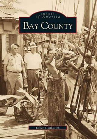 Kniha Bay County Eileen Cvitkovich