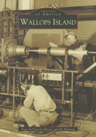 Book Wallops Island Nan DeVincent Hayes