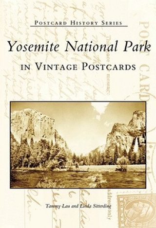 Carte Yosemite National Park in Vintage Tammy Lau