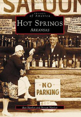 Kniha Hot Springs Ray Hanley