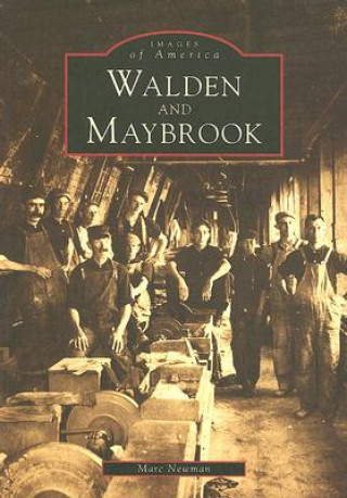 Книга Walden and Maybrook Marc Newman