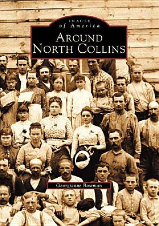 Book Around North Collins Georgianne Bowman