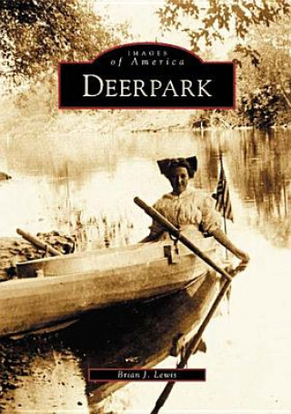 Книга Deerpark Brian J. Lewis