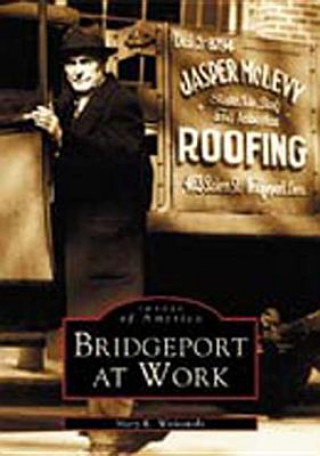 Книга Bridgeport at Work Mary K. Witkowski