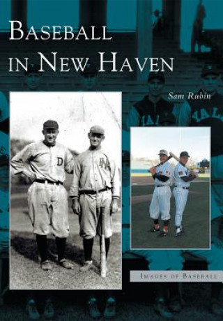 Book Baseball in New Haven Sam Rubin