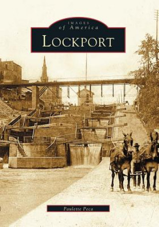 Buch Lockport Paulette Peca