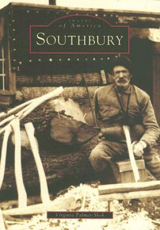 Książka Southbury Virginia Palmer-Skok