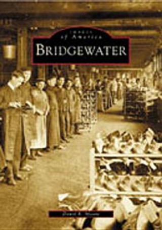 Book Bridgewater David R. Moore