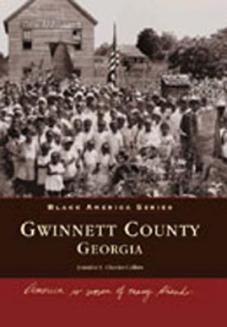 Kniha Gwinnett County, Georgia Jennifer E. Cheeks-Collins