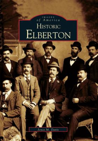 Livre Historic Elberton Joyce M. Davis