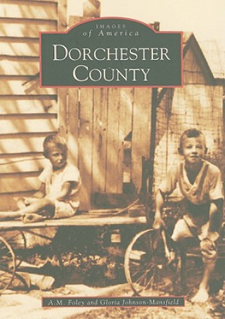 Książka Dorchester County A. M. Foley