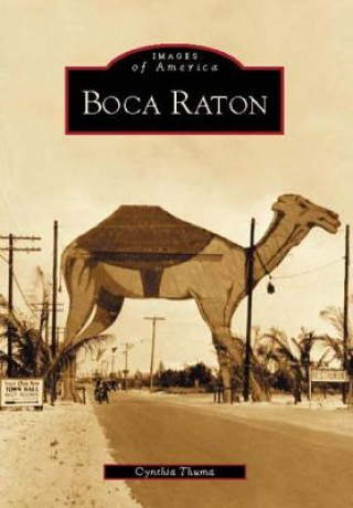Könyv Boca Raton Cynthia Thema