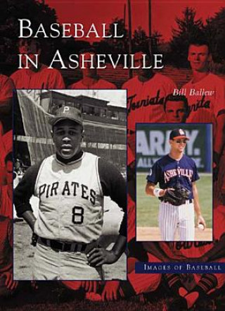 Kniha Baseball in Asheville Bill Ballew