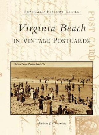 Kniha Virginia Beach in Vintage Postcards Alpheus J. Chewning