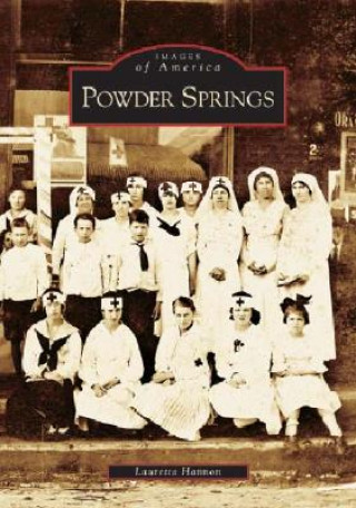 Könyv Powder Springs Lauretta Hannon