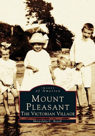 Kniha Mount Pleasant: The Victorian Village Mary-Julia C. Royall