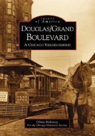 Carte Douglas/Grand Boulevard:: A Chicago Neighborhood Chicago Historical Society