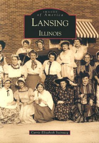 Kniha Lansing, Illinois Carrie Elizabeth Steinweg