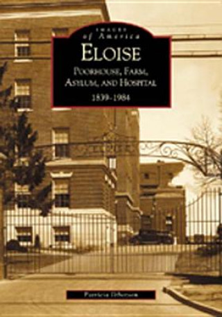 Kniha Eloise:: Poorhouse, Farm, Asylum and Hospital 1839-1984 P. Ibbotson