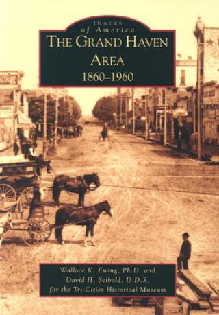 Kniha The:  Grand Haven Area: 1860-1960 Wallace Ewing