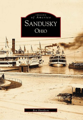 Kniha Sandusky, Ohio Ronald A. Davidson