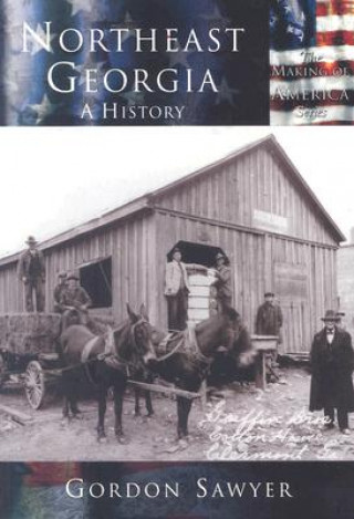 Kniha Northeast Georgia:: A History Gordon Sawyer