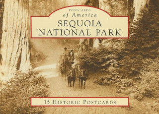 Kniha Sequoia National Park: 15 Historic Postcards Ward Eldredge