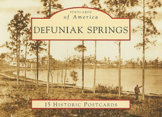 Knjiga Defuniak Springs: 15 Historic Postcards Diane Merkel