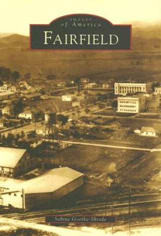 Buch Fairfield Sabine Goerke Schrode