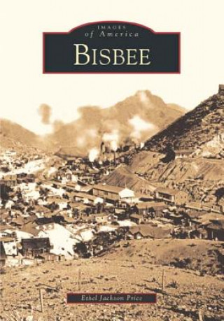 Książka Bisbee Ethel Jackson Price