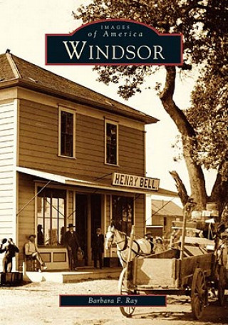 Kniha Windsor Barbara F. Ray