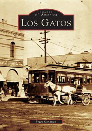 Buch Los Gatos Peggy Conaway