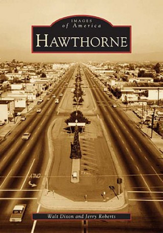 Buch Hawthorne Walt Dixon