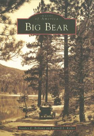 Buch Big Bear Stanley E. Bellamy