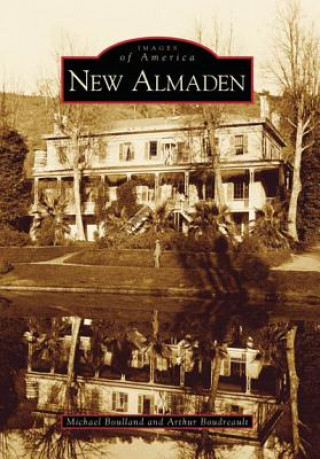 Kniha New Almaden: Michael Boulland