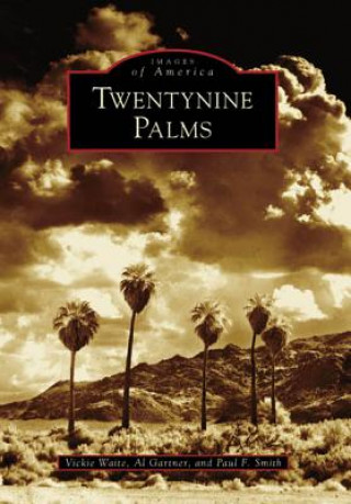 Kniha Twentynine Palms Vickie Waite