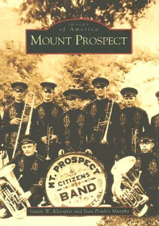 Книга Mount Prospect Gavin W. Kleespies