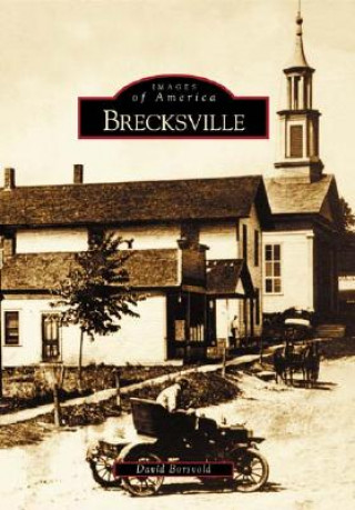 Livre Brecksville David Borsvold