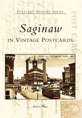 Book Saginaw in Vintage Postcards Roberta Morey