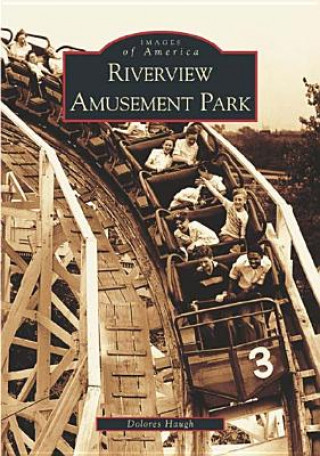 Книга Riverview Amusement Park Dolores Haugh