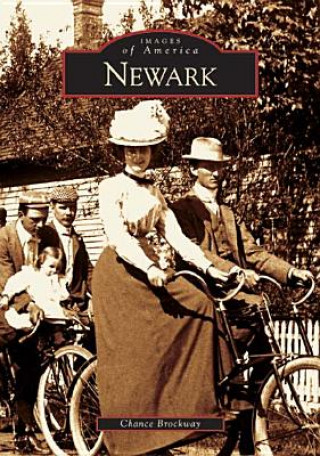 Книга Newark Chance Brockway