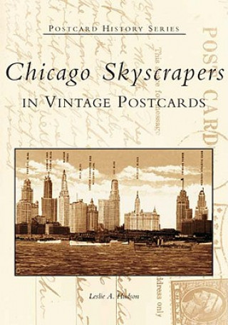 Book Chicago Skyscrapers in Vintage Postcards Leslie A. Hudson