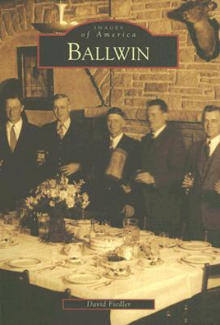 Könyv Ballwin David Fiedler
