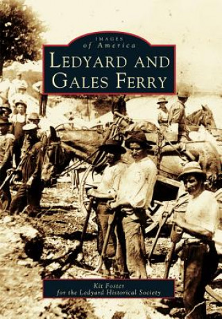 Libro Ledyard and Gales Ferry Kit Foster