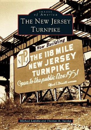 Kniha The New Jersey Turnpike Michael Lapolla