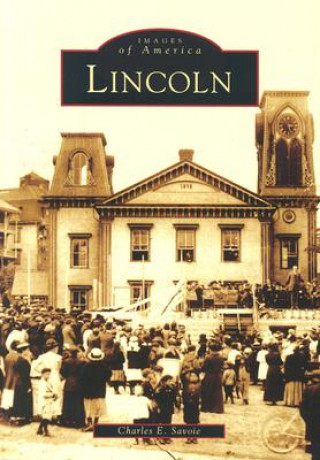 Könyv Lincoln Charles E. Savoie